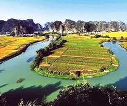 广西南宁“追绿”