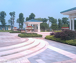 广西某小区绿化