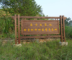 南方国家级珍贵树种种苗繁育基地